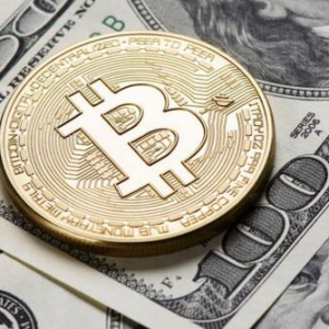 比特币or比特币现金？投资者如何选择