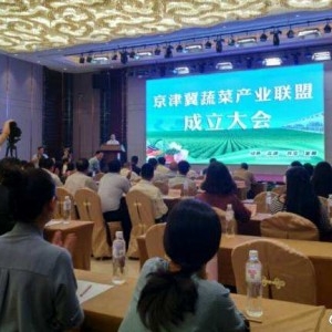 高碑店吴相荣谈高碑店三会一赛