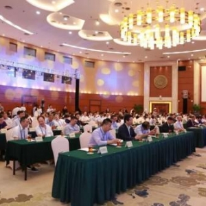 数字经济下的区块链技术应用与前景——2018中国国际数字经济发展论坛在深召开