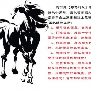 野马战队 是您的投资管家！