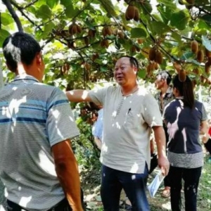 7不够国际权威认证：梦想照亮现实