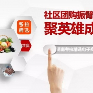 【考拉精选】亮剑--社区团购的终局之战！