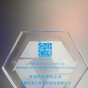 富德生命人寿获颁2018中国企业公民“年度扶贫贡献企业”奖