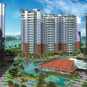 青年城邦服务创新 全方位保障用户体验