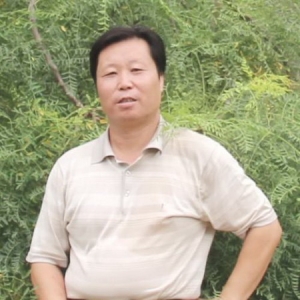 杨晓旭 何家英——中国书画两大名家作品鉴赏