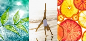 维美利莱Vitarmonyl引领世界健康减肥新潮流！