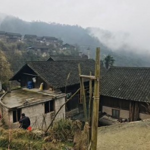 资产规模、利润企稳 廊坊银行经营稳健评级维持AA+