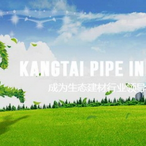 品质为先精益求精，康泰塑胶引领行业快速健康发展