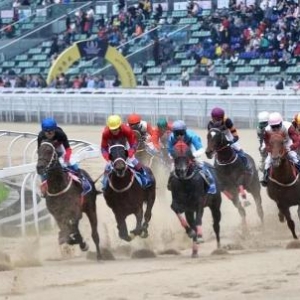 《2019第一届武汉东方马城公益大赛》