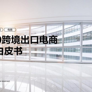 《2020跨境出口电商行业白皮书》出炉：疫情“宅经济” 催生“微型跨国企业” 全球做买 ...