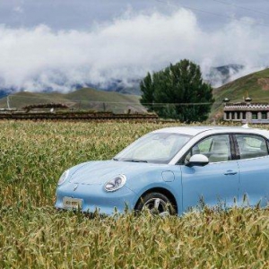 连续三月拿下细分市场销冠，欧拉好猫颜值很给力