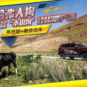 哈弗大狗诠释潮野气质，两把锁助攻户外快乐行