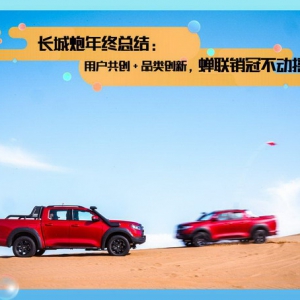 长城皮卡连续24年销量第一，长城炮花式操作太高能