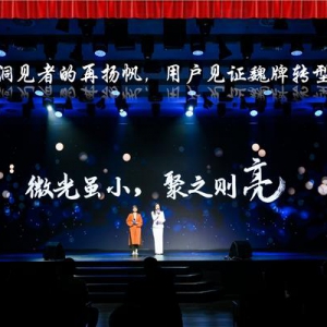 传统企业转型用户型企业怎么走？魏牌身先士卒