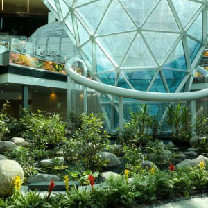 哈马德国际机场正式公布宏大扩建项目