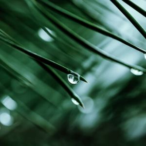 IBM 2023 年预测：人工智能将推进企业加速落实可持续发展目标