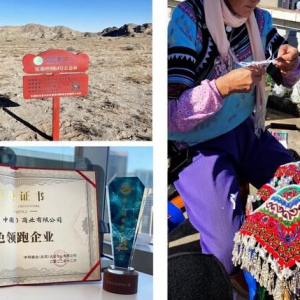 砥砺前行 奋发有为 兄弟(中国)年度成绩单出炉