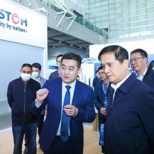 阿尔斯通参展第十六届上海国际铁路与城市轨道交通展览会（南京）