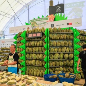 尚泰世界购物中心2023泰国榴莲水果节活动上线