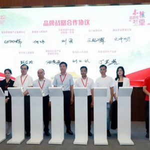 “挑担茶叶上北京”五彩湘茶竞艳京城