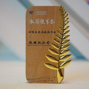 玫琳凯亮相中国企业家博鳌论坛，荣获"女性发展成就奖"