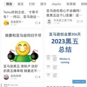Temu们围攻亚马逊：一场或被低估的错位竞争