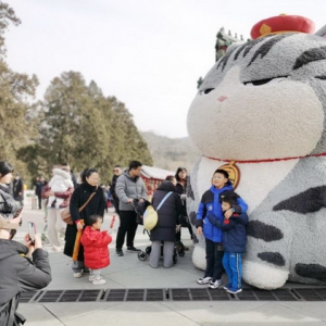 福启新岁龙跃新篇，八大处庙会“龙”重开幕