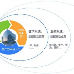 数据原点，持续生长----打造数字化转型最佳实践
