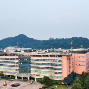 安婕妤把握护肤品市场竞争新形势，完善产品创新细节