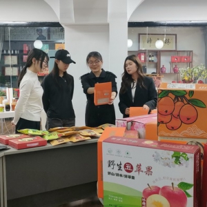 高原精粹宝阁——高原好物