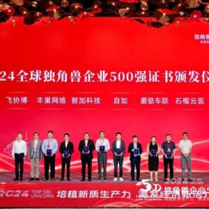 丰巢荣登2024全球独角兽500强：创新驱动新质生产力