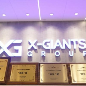 数字化+全球化成就嘉驰国际行业领军地位