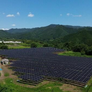 天合光能在日本推出农业光伏项目，推动可再生能源与农业协同发展