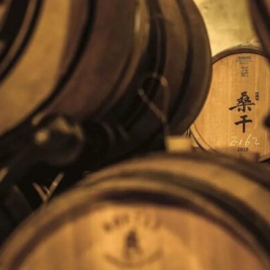 大国酒业的文化跨界融合：产业协同下的生活方式深度对话