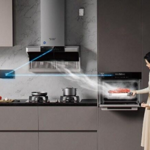 呵护肠胃健康，畅享美好生活A.O. 史密斯蒸烤一体机帮你更好地养胃