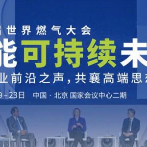 第29届世界燃气大会：全方位深度透视燃气与能源行业未来