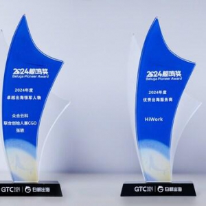 HiWork荣获「鲸鸣奖 -2024年度优秀出海服务商」