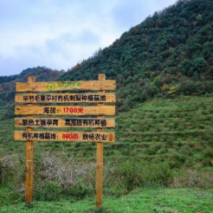 远方好物溯源贵州：打通田间到餐桌脉络，助力乡村振兴与助农腾飞