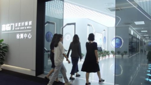 泰得思科技有限公司携手握手世界举办国际残疾人日公益活动