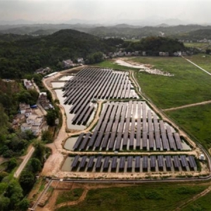 持续探索ESG新模式，TCL“光伏+”为产业兴农注入绿色动力