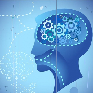 讲真学堂推出的《高效记忆训练营》课程，带来专业记忆力训练指南