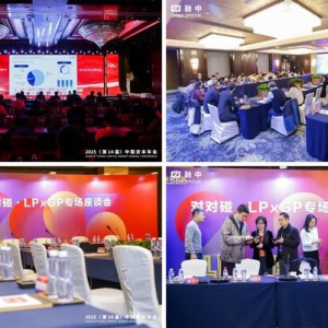 奇点醒客 | 融中2025（第14届）中国资本年会圆满落幕