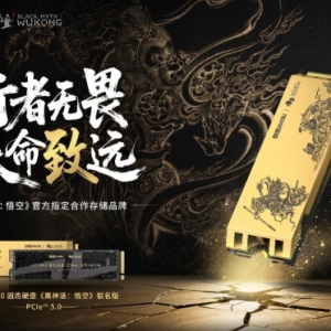 掀起PCIe 5.0性能狂潮 TiPro9000固态硬盘《黑神话：悟空》联名版开启预售
