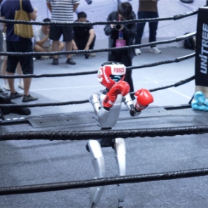 人形机器人进入3万元时代：WRC 2025的产业化分水岭