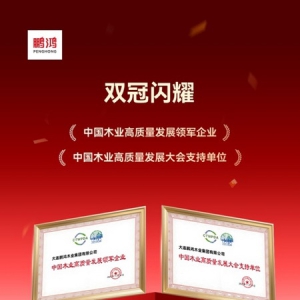 鹏鸿板材斩获双项殊荣，谱写木业高质量发展领军答卷