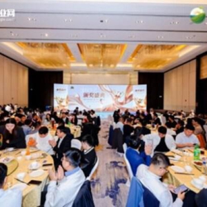 「PV TOP 5O」&「ES TOP 50」2025光储创新榜璀璨出炉