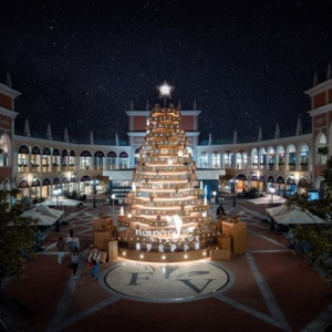 上海FV佛罗伦萨小镇获浦东新区专项资金支持 树立国际消费中心建设新标杆