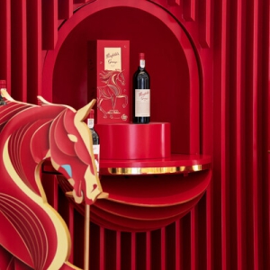 奔富品牌大使佟丽娅惊喜揭幕奔富马年新春快闪