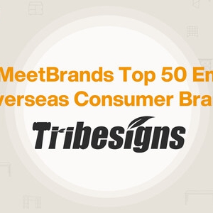Tribesigns荣登"2025 MeetBrands出海新锐消费品牌50强"榜单