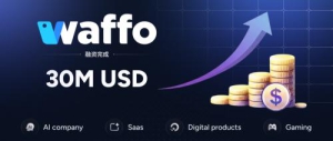 全球支付平台Waffo宣布完成3000万美元融资，加速数字经济全球化基础设施建设